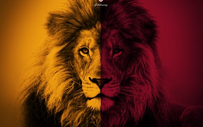 多宝电竞-切尔西女足体能瓶颈显现