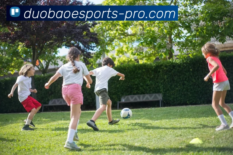 多宝电竞Pro品牌故事